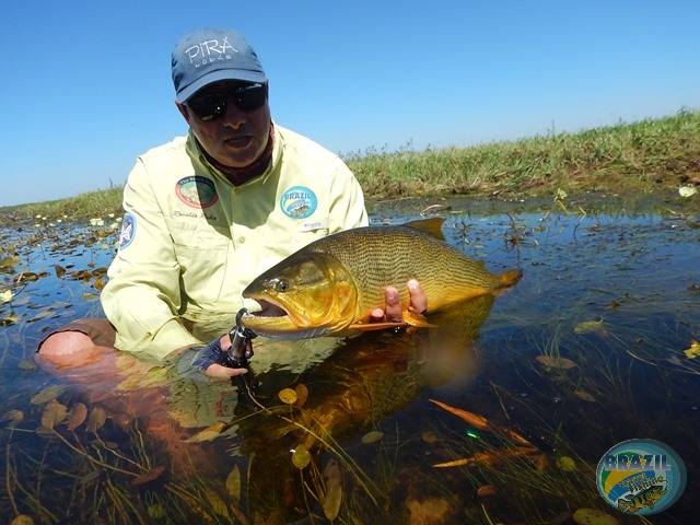 PIRA LODGE - Pantanal Argentino - Temporada 2.016